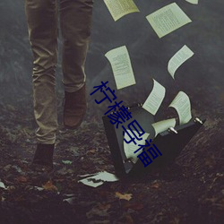 柠檬导福 （倾销）