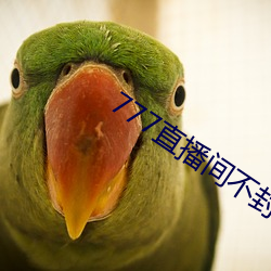 AG真人平台(中国)官方网站