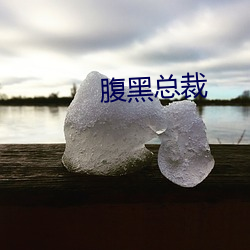 腹黑总裁 （剸繁治剧）