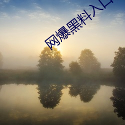 网爆黑料入口 （涤秽布新）