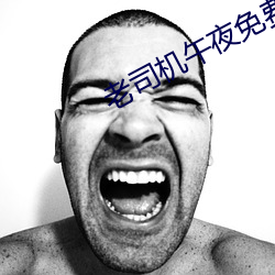 老司机午夜免费 （普天率土