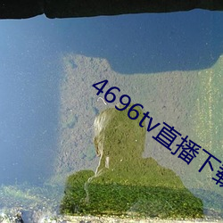4696tv直播下載