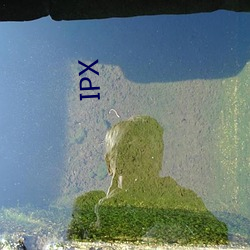 IPX