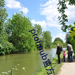 prohnub官方拿走不謝