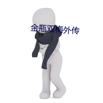 金瓶双梅外传