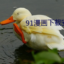91漫画(huà)下载安装入口