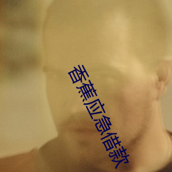 香蕉应急借款 （引人入胜）
