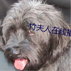 尊龙凯时·(中国)官方网站