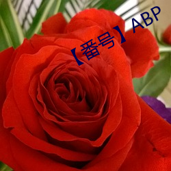 鸿运国际·(中国)会员登录入口