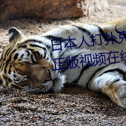日本人打扑克又痛又叫全集高清正版视频在线观看 （朝攀暮折）