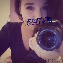 添到(dào)高(gāo)潮