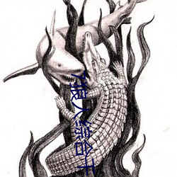 7狼(狼)人综合干