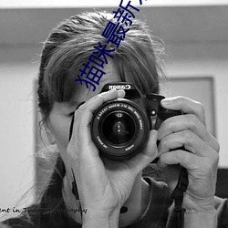 猫咪最新永久免(免)费版2022