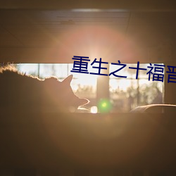 重生之十福(福)晋(晉)