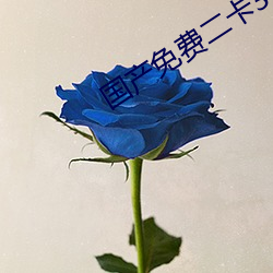 国产免费二卡3卡四卡
