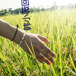 韩小薇回放(fàng)5号房(fáng)19j