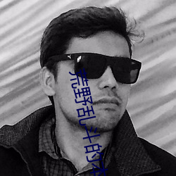 荒野乱斗的本子