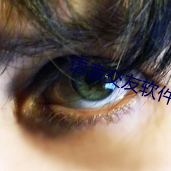 语音交友软件排行榜