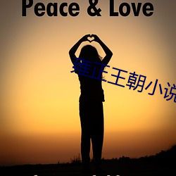 雍正王朝小說