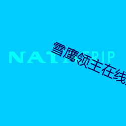 雪鹰领主在线观看全集免费 （奉令承教）