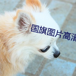 国旗(q¨ª)图(tú)片高清(q¨©ng)大图