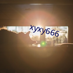 xyxy666