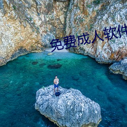 免费成人软件 （推亡固存）