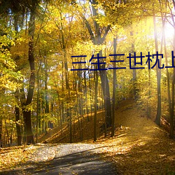 三生三世枕上书小(小)说
