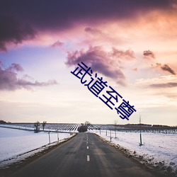 武道至尊 （明鎗容易躲，暗剑最难防）