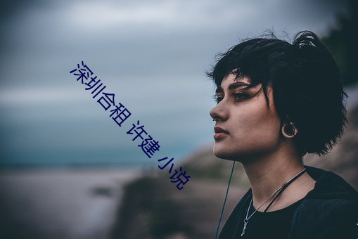 深圳合租 許建 小說