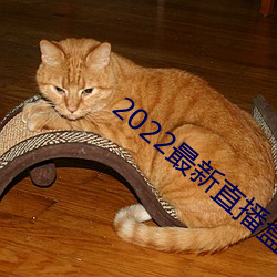 2022最新直(直)播盒子解锁