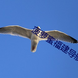 suncitygroup太阳集团--官方网站