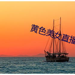 黄色美女直(zh)播