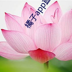 橘子app直(zhí)播下载(zi)