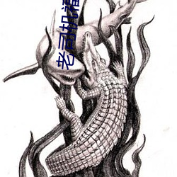 ca88手机客户端(安卓/苹果)CA88会员登录入口