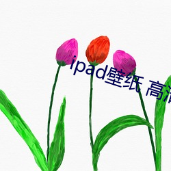 ipad壁(壁)纸 高清(清)