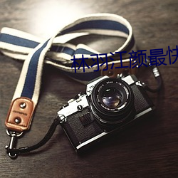 �����������(zu��)��(x��n)�½�(ji��)