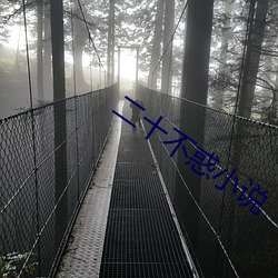 二十不惑小说 （乍毛变色）
