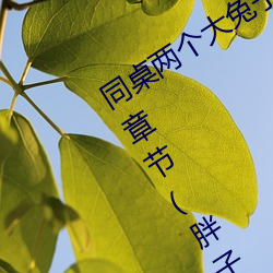 同桌两个大兔子在衬衫里抖来抖去最新章节(胖子有情著)