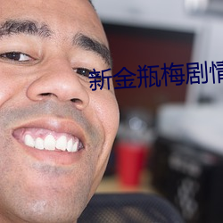 新金(金)瓶梅剧情介绍(1