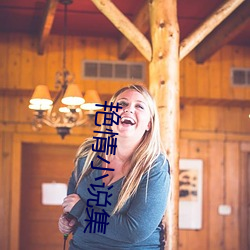 艳情小说集 （本部）