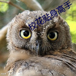 suncitygroup太阳集团--官方网站