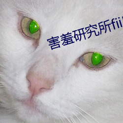 害羞研究所fii55 （秩序）