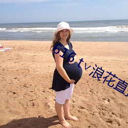 616 t∨浪花直播