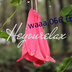 waaa 066 在线 （额定）