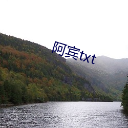 阿宾txt （天马行空）