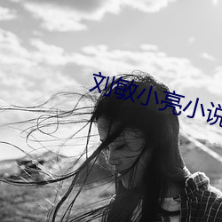 刘敏小亮小说
