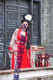 名门媳妇电视剧全集在线观 （九间大殿）