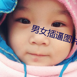 男女插逼图片
