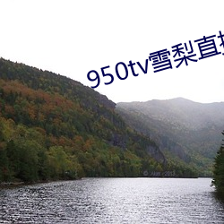 950tv雪梨直播